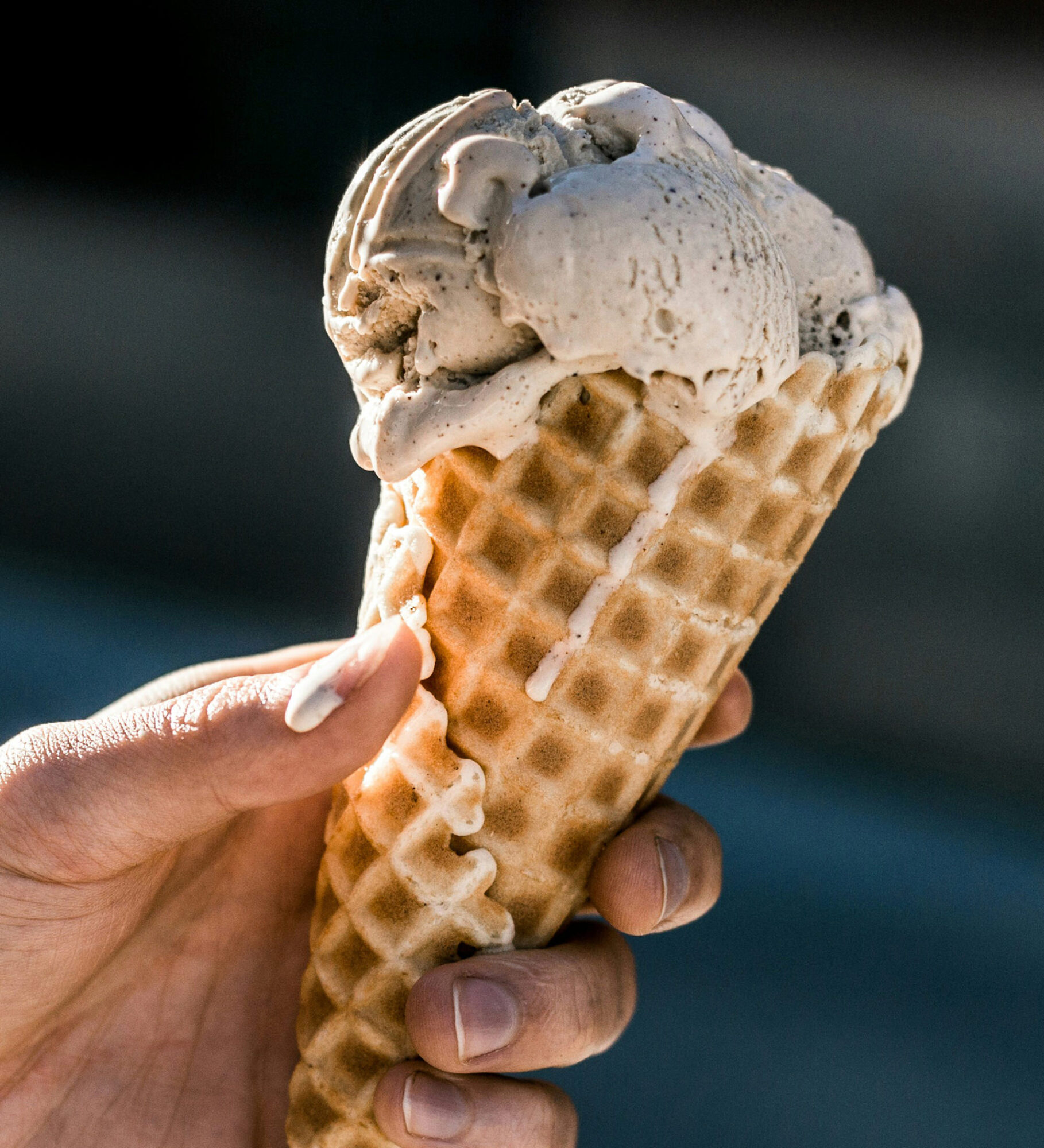 priscilla-du-preez-8AjgoHaE3Eo-unsplash