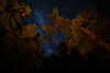 dave-hoefler-dVoZU1gdc-A-unsplash