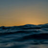 fellipe-ditadi-EQ3D6GrgAOk-unsplash