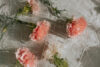kateryna-hliznitsova-SyPF9BzIsRQ-unsplash