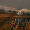 leandra-rieger-9Kwb05iNtRU-unsplash