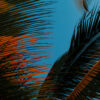lia-bekyan-olxsQ2P3lZU-unsplash