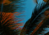 lia-bekyan-olxsQ2P3lZU-unsplash