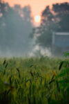 maninder-sidhu-pQIj3ZDic_M-unsplash