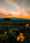 vaye-dris-KkkvXzYrp_U-unsplash